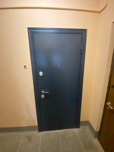 Установлена новая металлическая дверь, выполнена отделка откосов, произведена регулировка замков и петель, обеспечена плотная посадка конструкции в проем, завершена чистовая отделка.