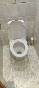 Установлен новый напольный унитаз, произведена замена креплений, проверена герметичность соединений, устранены протечки, отрегулирован сливной механизм, проведена чистка поверхности.