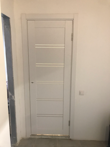 Установлена новая дверь: закреплена коробка, навешено полотно, врезаны петли и замок, отрегулированы зазоры, прикреплены наличники, обеспечена плавность открывания и закрывания.