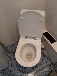 Установлено новое сантехническое оборудование, подключено к водопроводу и канализации, проверена герметичность соединений, произведена регулировка сиденья, выполнена уборка рабочего места.