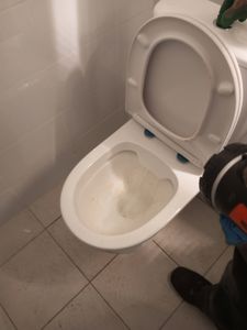 Проблема с сантехникой устранена: засор в унитазе ликвидирован, вода свободно уходит, система функционирует нормально, чистота восстановлена.
