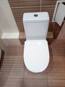Установлено новое сантехническое оборудование, подключено к водопроводу, проверена герметичность соединений. Завершена отделка, произведена уборка. Обновленный интерьер санузла готов к использованию.