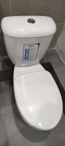 Установлено новое сантехническое устройство, подключено к водопроводу, герметично закреплено на полу, проверена исправность слива, устранены протечки, проведена уборка рабочей зоны.