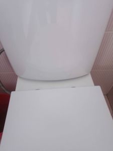 Установлено новое сантехническое оборудование, подключены коммуникации, проверена герметичность соединений, выполнена регулировка механизма слива, произведена уборка рабочего места.