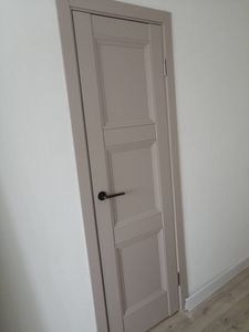 Установлена новая деревянная створка, закреплены петли, врезана ручка, отрегулированы зазоры, проверена плавность открывания и закрывания, завершена отделка наличниками, обеспечена надежность конструкции.