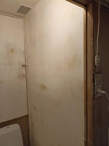 Стены выровнены, зашпаклеваны, загрунтованы. Поверхность очищена от дефектов, подготовлена для дальнейших работ. Углы и стыки обработаны, обеспечена гладкость и чистота.