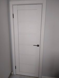 Установлено новое дверное полотно, выполнено крепление петель, зафиксирована ручка, произведена регулировка для плавного закрытия, обеспечена точная подгонка в проем.