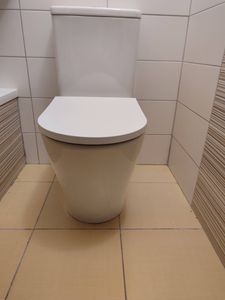 Установлен новый напольный унитаз, произведена замена уплотнителей, отрегулирован сливной механизм, проверена герметичность соединений, обновлены крепления, устранены протечки.