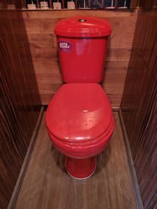 Установлен новый красный сантехнический прибор, подключены коммуникации, проверена герметичность соединений, выполнена фиксация к полу, произведена проверка функциональности.