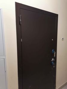 Установлена новая металлическая дверь, выполнена регулировка петель, проверена работа замков, обеспечена герметичность и звукоизоляция. Завершена отделка откосов и порога.