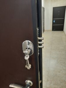 Замена (установка) замка металлической входной двери