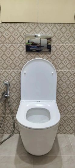 Установка гигиенического душа