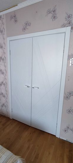 Установлены двустворчатые двери: закреплены петли, врезаны ручки, отрегулированы створки, обеспечена плавная работа. Завершена отделка проема, проверена надежность конструкции.