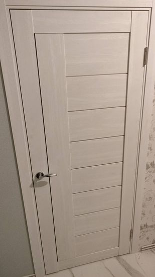 Установлена светлая дверь, закреплены петли, врезана ручка, отрегулирована конструкция, проверена плавность открывания, устранены зазоры, завершена отделка наличниками.