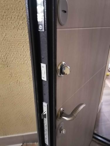 Установлено новое дверное полотно, закреплены петли, врезан замок, отрегулирована фурнитура, проверена герметичность, обеспечена плавность открывания, выполнена отделка откосов.