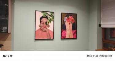 Навеска картины