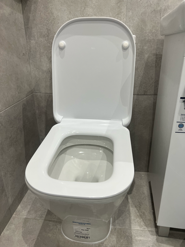 Установлен новый напольный унитаз, подключены коммуникации, проверена герметичность соединений, произведена регулировка бачка, выполнена облицовка прилегающей зоны, проведена уборка.