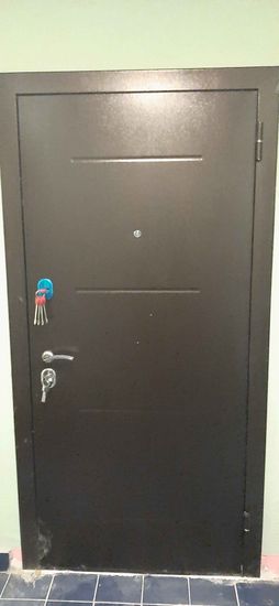 Установлена новая пластиковая дверь, закреплена в проеме, проверена работоспособность замков и петель, выполнена герметизация швов, проведена регулировка створок для плавного закрытия.