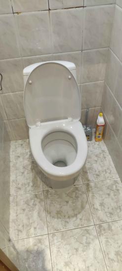 Установлен новый напольный унитаз, произведена замена креплений, проверена герметичность соединений, устранены протечки, отрегулирован сливной механизм, проведена чистка поверхности.