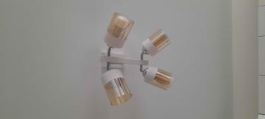 Установлено новое осветительное устройство на потолок, подключены провода, закреплены крепления, проверена работоспособность, обеспечена безопасность и эстетичность внешнего вида.