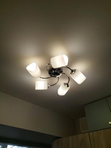 Выполнена установка новых светодиодов в потолочный светильник, улучшено освещение, повышена энергоэффективность, заменены старые источники света на современные, экономичные лампы.