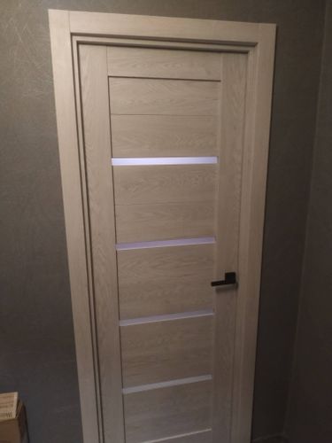 Установлена новая дверь с коробкой, закреплены петли, врезан замок, отрегулирована фурнитура, проверена плавность хода, добавлены наличники, завершена отделка проема.