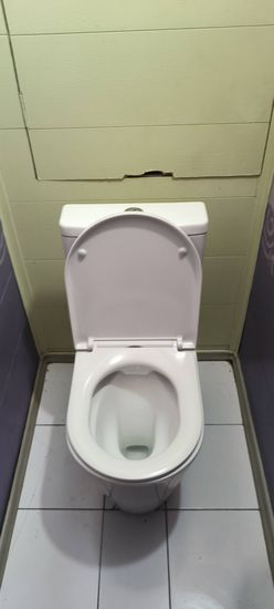 Установлено новое сантехническое оборудование, выполнено подключение к водопроводу и канализации, проверена герметичность соединений, произведена регулировка сливного механизма.