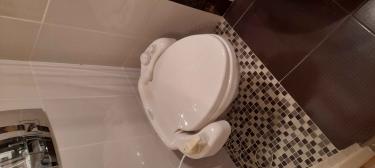 Установлено современное сантехническое устройство, подключены водопроводные коммуникации, проверена герметичность соединений, выполнено тестирование функциональности, завершены отделочные работы.