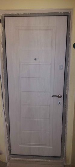 Установлена новая пластиковая дверь, закреплена в проеме, отрегулированы петли, установлена фурнитура, проверена функциональность замка и ручки, зазоры заделаны монтажной пеной.