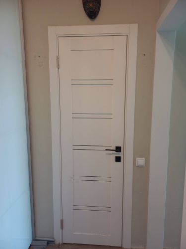 Установлена новая дверь: закреплены петли, врезан замок, отрегулирована фурнитура. Полотно ровно размещено в проеме, обеспечена плавная работа. Завершающий этап — проверка закрывания.