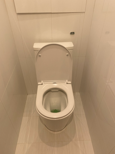 Установлен новый сливной механизм, подключены коммуникации, проверена герметичность соединений, выполнена регулировка уровня воды, обеспечена исправная работа системы.