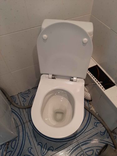 Установлено новое сантехническое оборудование, подключено к водопроводу и канализации, проверена герметичность соединений, произведена регулировка сиденья, выполнена уборка рабочего места.