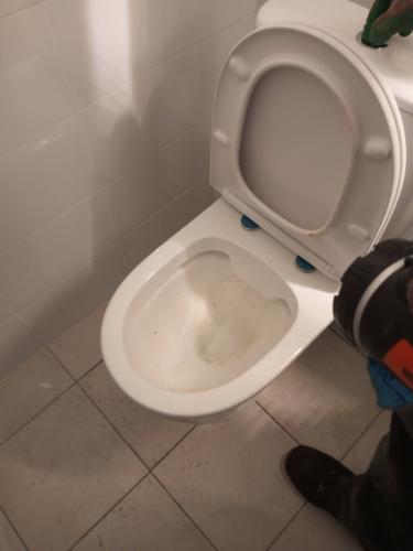 Проблема с сантехникой устранена: засор в унитазе ликвидирован, вода свободно уходит, система функционирует нормально, чистота восстановлена.