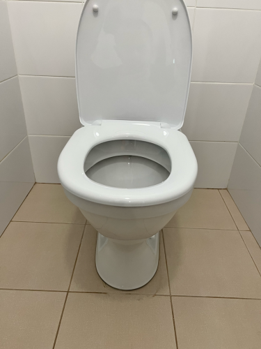 Установлено новое сантехническое оборудование, подключено к водопроводу и канализации, проверена герметичность соединений, закреплено на полу, проведена проверка функциональности.