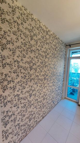 Снятие одного слоя обоев и клея с стен