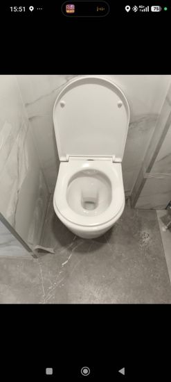 Установка подвесного унитаза (на готовую инсталляцию)