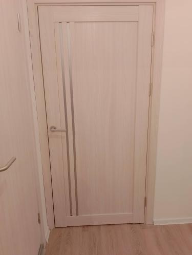 Установлена новая створка, закреплены петли, врезана ручка, отрегулированы зазоры, проверена плавность движения, выполнена отделка наличниками, завершены все монтажные работы.