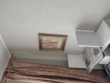 Картина в раме аккуратно закреплена на стене, обеспечена надежная фиксация. Подготовлена поверхность, учтены все параметры для симметричного расположения. Завершено оформление интерьера.