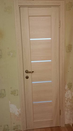 Установлена новая створка, закреплены петли, врезана ручка, отрегулирована фурнитура, выполнена подгонка по проему, обеспечена плавная работа, завершена отделка наличниками.