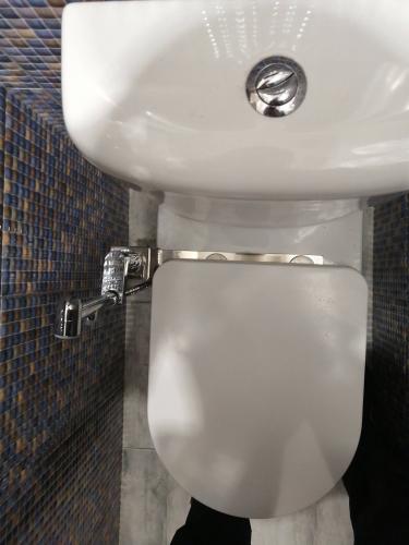 Установка гигиенического душа