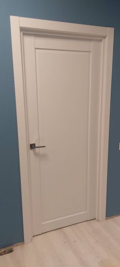 Установлена новая створка, закреплены петли, врезан замок, отрегулирована фурнитура, зафиксирована коробка, оформлены наличники, проверена плавность открывания, завершены отделочные работы.