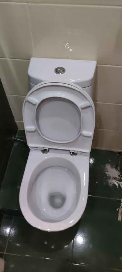 Установлено новое сантехническое оборудование: подключено к водопроводу, зафиксировано на полу, проверена герметичность соединений, выполнена регулировка бачка и сиденья, произведена уборка.
