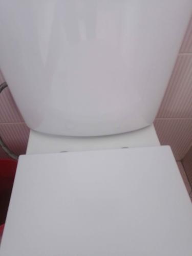 Установлено новое сантехническое оборудование, подключены коммуникации, проверена герметичность соединений, выполнена регулировка механизма слива, произведена уборка рабочего места.