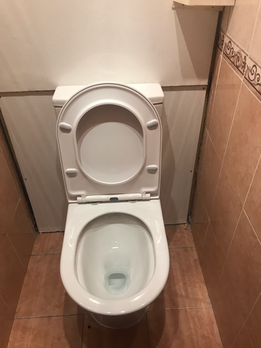 Установлено сантехническое оборудование, подключено к водопроводу и канализации, проверена герметичность соединений, закреплено на полу, выполнена регулировка крышки и бачка.