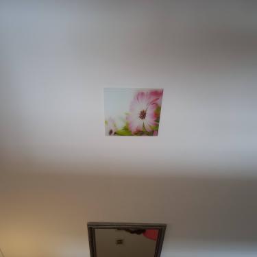 На стене закреплён ковер, обеспечена надежная фиксация. Эстетичный вид интерьера подчеркнут гармоничным расположением. Работа завершена аккуратно, без видимых дефектов.