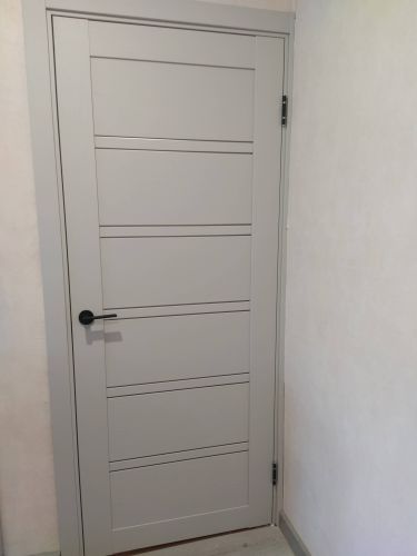 Установлена новая дверь: врезаны петли, закреплён замок, отрегулирована створка, смонтирована коробка, добавлены наличники, проверена плавность открывания, завершена отделка проёма.