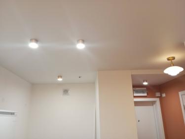 Монтаж точечного светильника на подвесной/натяжной потолок