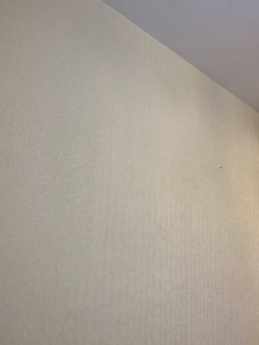 На поверхности стены выполнен тонкий узор светлыми линиями, создающий эффект текстуры. Рисунок добавляет изысканность и утонченность, делая пространство визуально интересным и уникальным.