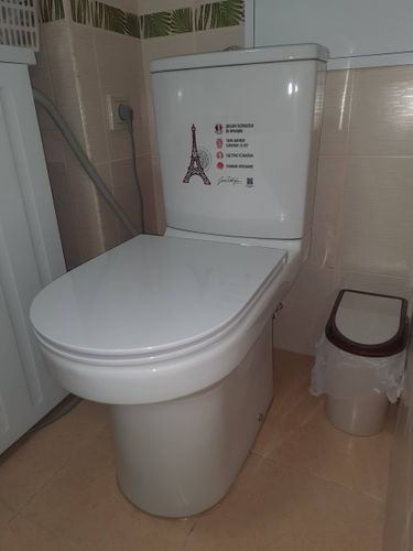 Установлено новое сантехническое оборудование, подключены коммуникации, проверена герметичность соединений, выполнена регулировка механизмов, произведена уборка рабочего места.