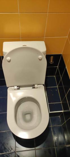 Установлено новое сантехническое оборудование, подключено к водопроводу, проверена герметичность соединений, произведена регулировка сливного механизма, выполнена уборка рабочей зоны.